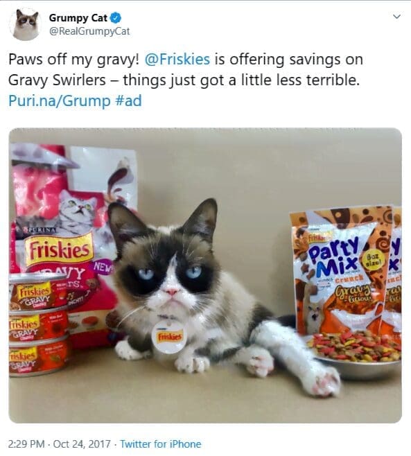 Grumpy Cat