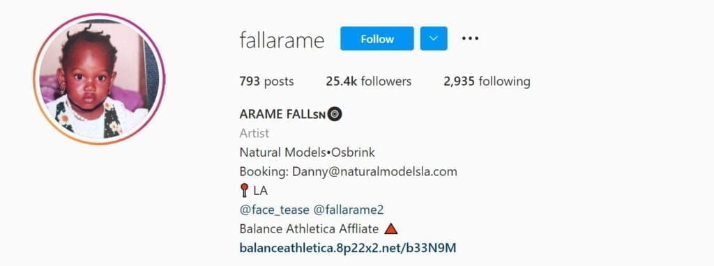 Arame Falls - @fallarame