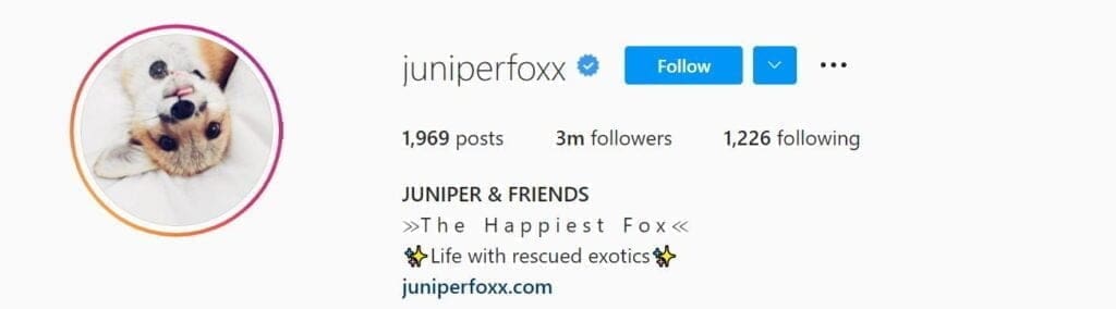 @juniperfoxx