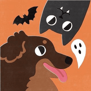 Instagram Profile Picture Of kitwithfood