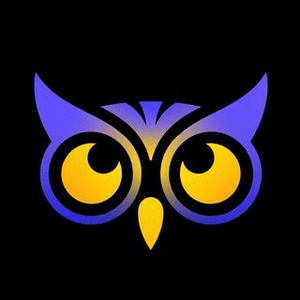 Instagram Profile Picture Of edmlifestyle