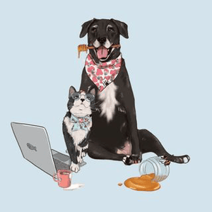 Instagram Profile Picture Of hoogie_bear_